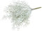 Botanic-Haus künstlicher Calocephalus (Stacheldraht Pflanze/Silberkörbchen) Farbe: grau, Höhe ca. 40 cm
