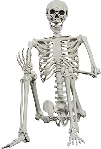 Halloween-Skelett 165cm realistische Lebensgröße posable menschliche Skelett Knochen mit beweglichen Gelenken für Halloween Spukhaus Dekoration (1PC)