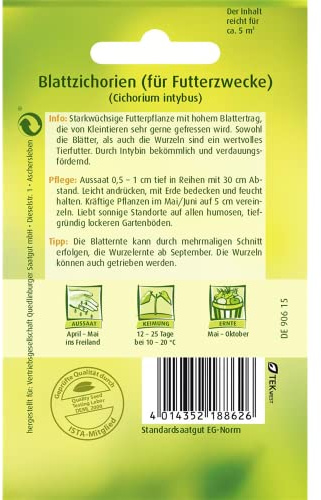 Quedlinburger Saatgut Futterzichorie (Blattzichorie), Witloof Samen
