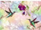 Runa Art Papier peint intissé Fleurs Oiseaux Colibri 352 x 250 cm Toison Mur XXL Tableaux Muraux Tapisserie Photo Décoration Murale Salon Chambre Coloré 9402011a