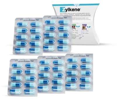 Zylkene 450 mg | 50 Kapseln | Ergänzungsfuttermittel für große Hunde | Zur Unterstützung in ungewohnten Situationen | Mit Trypsin-hydrolysiertem Rinder-Kasein
