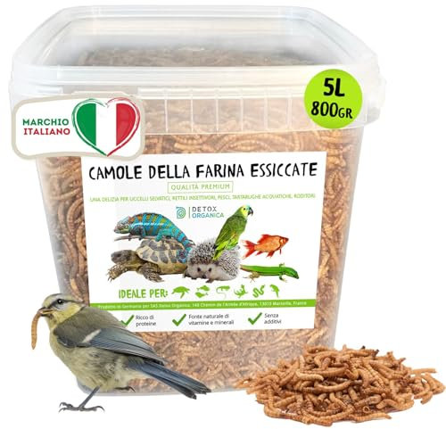 Detox Organica - Camole della Farina Essiccate 800g = 5000ml - Podotto Germania, Qualità Premium, 100% Naturale | Tarme della Farina -Mangime Uccelli Selvatici, Pesci, Tartarughe, Roditori, Rettili