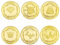 Lot de 6 pièces dorées de fée des dents avec boîte en acrylique, cadeaux pour garçons et filles, pièces en or pour enfants, pièces d'or pour enfants