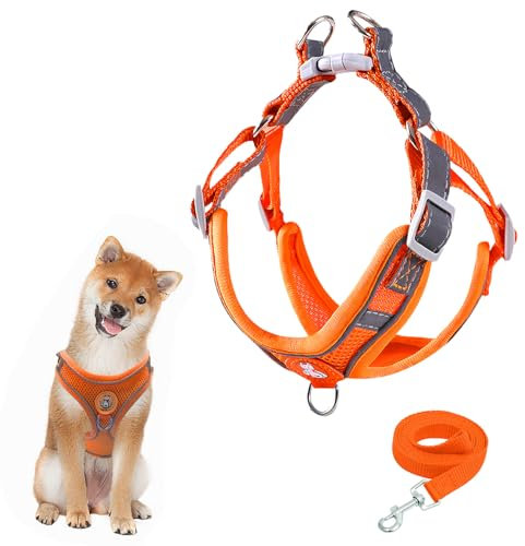Hundegeschirr mit Hundeleine Set, Air-Mesh Atmungsaktiv Brustgeschirr für Kleine, Mittelgroße Hunde & Welpen, Weich Gepolstert Einstellbar Reflektierend Geschirr (Orange, L)