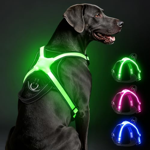 LED Hundegeschirr Leuchtend, Multicolor Reflektierendes Leuchthundegeschirr für Nacht, USB-C Wiederaufladbar mit Batterieanzeige, Verstellbares No-Pull Geschirr für Sichere Spaziergänge(XL)
