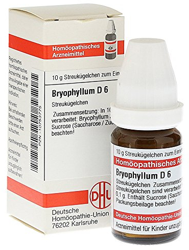 DHU Bryophyllum D6 Streukügelchen, 10 g Globuli