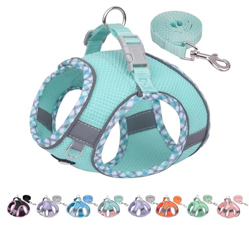AIITLE Hundegeschirr und Leine Set, No Pull Schritt in Welpengeschirr mit Super atmungsaktivem Mesh, einstellbare Welpen Essentials für die Ausbildung für kleine Hunde, Katzen Türkis XS