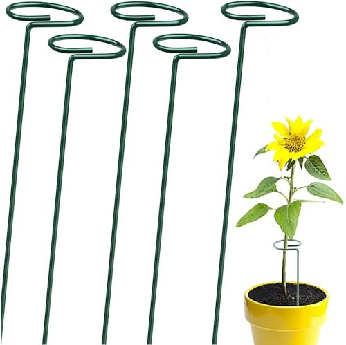 Elixir Gardens Green Plastic Coated Metal Steel Stakes For Single Stem Plant and Flower Support | Lengths Available 45cm, 60cm, 76cm, 90cm | 90cm x 8