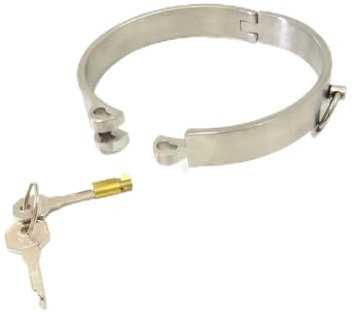 HeYie BDSM Bondage Edelstahl Sex Halsbänder, Metall Halsband Halsreif Sklaven Abnehmbar Halsfessel mit Unsichtbares Schloss Folter Fetisch Kragen Restraint Rollenspiel Sex Halsbänder für Paare (Color