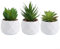 Set di 3 piante grasse finte eleganti decorazioni per la casa o l'ufficio desktop (set 1)