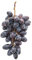 Tuberi D'Uva, Uva Dolce, Estremamente Resistente, Uva Senza Semi, Uva Naturale, Pianta Di Radice D'Uva, Uva Da Vino, Ideale Per La Semina Autunnale-3 bulbi-B