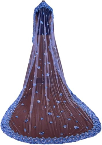 Lace Edge Brautschleier Kathedrale 3 M Blau Appliquiert Langer Hochzeitsschleier Einlagiges Hochzeitszubehör, A, 300cm