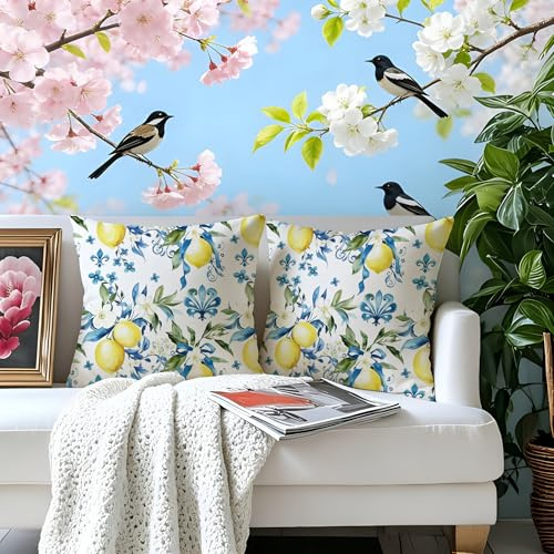 Gnoxaris Outdoor Kissenbezug Wasserfest Outdoor Kissen Wetterfest Dekorative Gartenkissen 45x45 cm Italienische Zitronen Wasserdicht Kissenbezüge 2er Set für Garten Sofa Wohnzimmer Bett