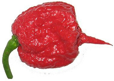 100 PCS Carolina del Reaper Pimienta Semillas, el chile más picante del mundo, 100% semilla fresca,