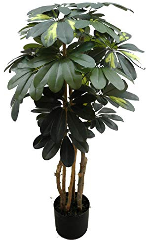 Seidenblumen Roß Schefflera 90cm grün/grün-gelb DA künstlicher Baum Kunstbaum Kunstpflanzen künstliche Pflanze