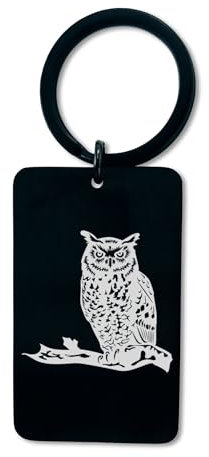 Eule, Schlüsselanhänger mit Gravur, Schlüsselanhänger aus Stahl, Anstecknadel, Hundemarke, schwarz glänzend, One size