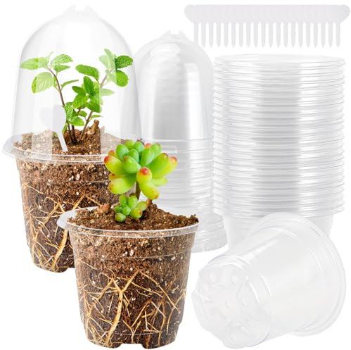 QINGHEC 20 Pieces Godet Semis Pot Transparent Plante 9cm Cache Pot Plante Interieur Pots de Fleurs Exterieur Petit Jardiniere Plastique avec Couvercle et étiquettes pour Graines, Semis et Plantes