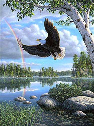 YEESAM ART Neuheiten Malen nach Zahlen Erwachsene Kinder, Adler Vogel Grün See Regenbogen 40x50 cm Leinen Segeltuch, DIY ölgemälde Weihnachten Geschenke (Adler, Mit Rahmen)