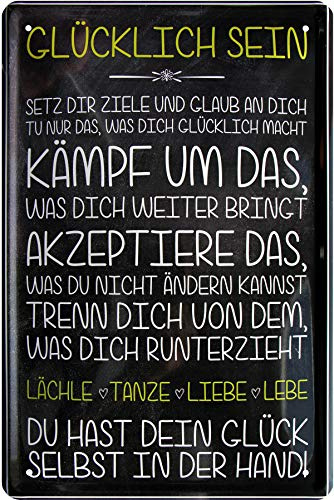 WOGEKA ART Retro Blechschild - Glücks Rezept - Du hast Dein Glück in der Hand - witziger Spruch Geschenk-Idee Geburtstag Weihnachten Dekoration 20x30 cm Vintage-Design Metall 538