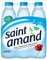 SAINT AMAND - Eau Minérale Naturelle 6X50Cl - L'unité