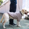 ARUNNERS Hundehalsbandjacken, Kleidung, Pullover mit Ring für die Leine für Labrador, Rottweiler, Deutsche Dogge, Grau, Größe 6XL