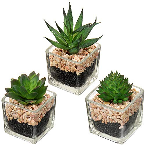 Briful Pianta artificiale, piante grasse artificiali, per soggiorno, bagno, piante ornamentali, piante grasse, altezza 10,5 cm, in vaso di vetro, set da 3
