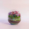 Mini Terrario de Plantas Naturales Jardín eterno en vidrio 10 x 7 cm Ecosistema autosostenible formado por Fittonia Roja Decoración para Casa o Regalo