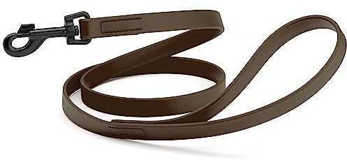 Dogline Biothane wasserdichte Hundeleine, stark beschichtetes Nylon-Gurtband mit schwarzen Beschlägen, geruchsdicht, leicht zu reinigen, hohe Leistung für kleine oder große Hunde, hergestellt in den