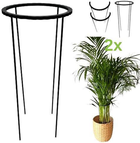 STÜTZEN-Liebe 2 Stück Ring VERBIND L 50/21 Ring für Pflanzen, Pflanzenstütze, Staudenhalter, Garten Stützring, Pflanzenhalter, Pflanzenstützen, Rankhilfe, Blume, Ringstütze Ring Schelle 2 in 1