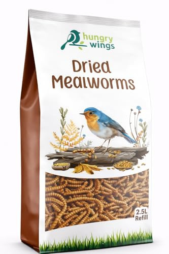 Premium Dried Mealworms, Wild Bird Food, 2.5L Refill Bag
