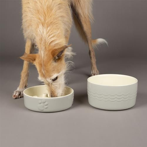 Scruffs Icon Dog/Pet Slow Feeding Bowl Set - 20cm Slow Feeder & 20cm Water Bowl – Light Grey