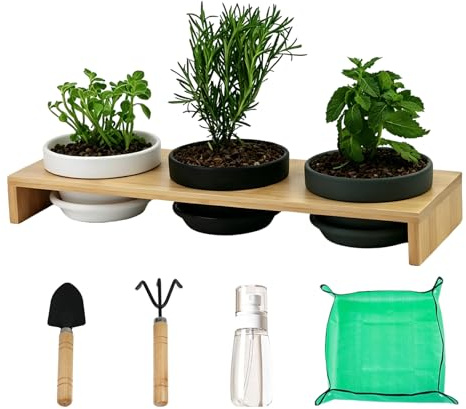 Mervino Kräutertopf Set, 3 Terrakotta Töpfe mit Bambusablage & Untersetzer | Perfekt für Fensterbank & Balkon: 3 Töpfe mit Drainage, Bambusablage und Untersetzer – ideal für Sukkulenten