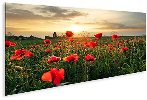 Bild Bilder auf Leinwand Mohnblumen Feldblume bei Sonnenuntergang Wandbild, Poster, Leinwandbild PYC