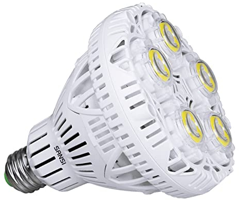 SANSI 30W (250W äquivalent) BR30 LED Lampe, Werkstattlampe 4000 Lumen, 5000K Weiß, CRI 80, E27 Glühbirnen für Garage Keller Lager Fabrik Kirche Scheune Sporthalle, nicht dimmbar