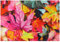 matches21 Stoff Tischset als abwaschbares Platzdeckchen - Platzset in 45 * 30 cm mit Herbst Ahorn Laub - Waschbare Textil Esstisch Unterlage als Tischdeko auch für Wohnzimmer