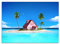 Thspinut Anime-Poster, Kame House, 30,5 x 41,9 cm, ungerahmt, Wandkunst für Schlafzimmer, wasserdicht, Drachenball-Serie, Geschenk
