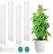 JORON 4 Stück 61 cm Moosstab für Monstera, Rankhilfe Monstera Zimmerpflanzen Moss Stick Transparente pflanzstab Erweiterbare Coir Pole für Kletterpflanzen