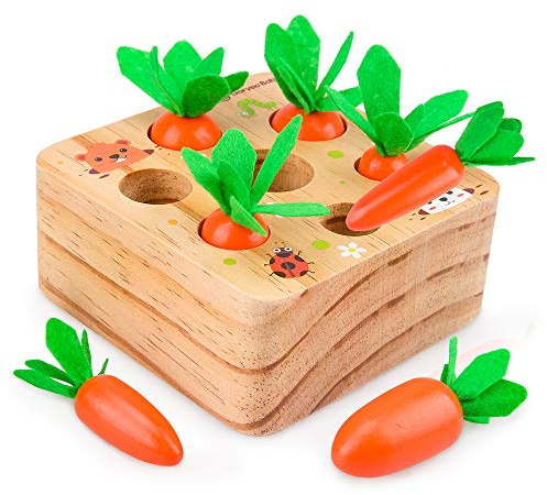 Dream Fun Spielzeug ab 1 Jahr kinder Mädchen Jungen, Montessori Spielzeug Baby Kinderspielzeug Holzspielzeug Kleinkinder Holzpuzzle 6 12 Monate Geburtstag Geschenke, Babyspielzeug