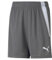 PUMA Unisex Baby Teamliga Shorts Jr, Grau, 116
