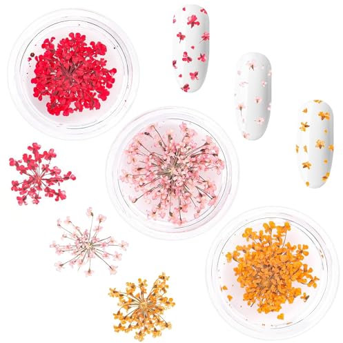 Nail Art Flowers Set Decoration - Gelnägel Zubehör 3 Farben(orange,blassrosa,Rose),Nail Art Aufkleber trockene Blumen Kit getrocknete Blumen Zubehör Set DIY Nageldekoration