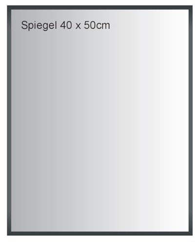 Spiegel 40x50 cm im Alu Rahmen Schwarz Dekorativer Wandspiegel Echtglas | ideal für Bad, Wohnzimmer, Schlafzimmer, Büro, Praxis, Eingangsbereich u.v.m.