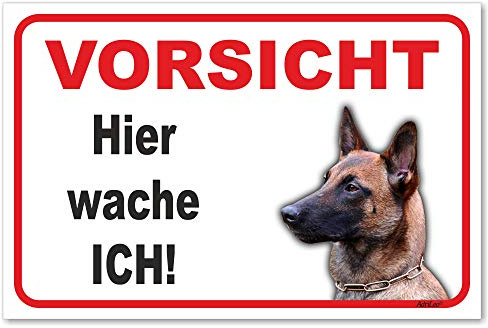 AdriLeo Schild - Vorsicht Malinois - Hier wache ich - (15x20cm) / Achtung Hund Wachhund robust langlebig UV-beständig wetterfestes Warnschild