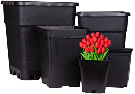Weedness Blumentopf Kunststoff 4 Liter 15x15x20 cm Eckig Schwarz für Innen & Außen - Pflanzkübel Groß Pflanzen-Topf Pflanzgefäß Anzuchttopf Blumenkübel Balkon Garten Hoch XXL