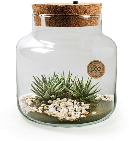 XXL Pflanzenterrarium mit/ohne LED inklusive allem - Nur noch Pflanze dazu -Terrarium - Pflanzterrarium Pflanzenglas - Flaschengarten Größe H 20 cm - Ø 19 cm mit LED-Korken