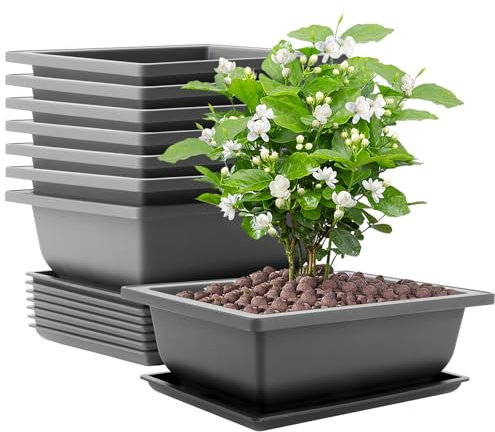 AKOLAFE Lot de 8 grands bols à bonsaï - 22,5 x 16,5 x 7,5 cm - Avec soucoupe - En plastique - Pour l'intérieur et l'extérieur - Pour jardin, salon, balcon