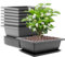 AKOLAFE 8 Stück Bonsai Schale Kunststoff 22.5x16.5x7.5cm Bonsai Topf Bonsaischale mit Untersetzer Kunststoff Blumentopf Plastik Groß Bonsai Pot für Garten, Wohnzimmer, Balkon, Innen und Aussen