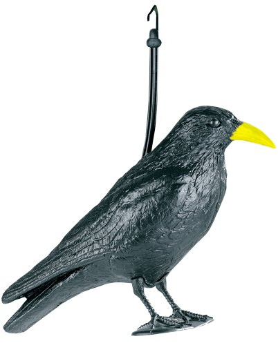 WENKO Vogelschreck Rabe,1 Stück