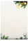 Weihnachtsbriefpapier | Tannenzweige | 100 Blatt weihnachtliches Motivpapier DIN A4 | Briefpapier