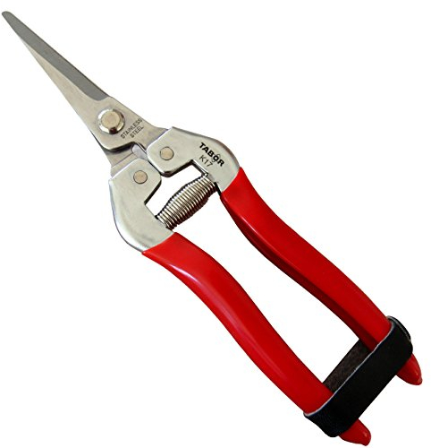 TABOR TOOLS K17E Sécateur de précision, Lame INOX, Ciseaux de Jardin, Ciseaux de récolte pour Fruits, Fleurs coupées, Herbes, légumes hydroponiques et Raisins.