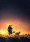 Displate Offiziell Star Wars MetallPoster Magnetische Befestigung Inklusive Lizenziert Bilder Hochwertiges Poster Mandalorian Season 2 - Beginning Poster - 45 cm x 32 cm